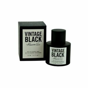 Kenneth Cole Vintage Black toaletní voda pro muže 100 ml obraz