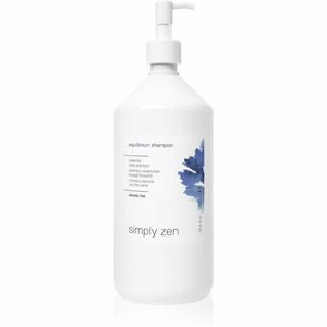 Simply Zen Equilibrium Shampoo šampon pro časté mytí vlasů 1000 ml obraz