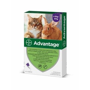 Advantage Spot-on pro velké kočky a králíky 80 mg 4x0, 8 ml obraz