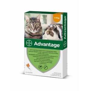 Advantage Spot-on pro malé kočky a králíky 40 mg 4x0, 4 ml obraz