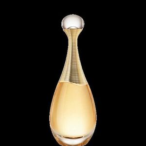 Christian Dior Jadore Parfémovaná voda pro ženy 100 ml obraz