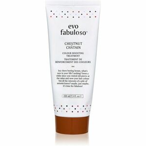 EVO Fabuloso Colour Boosting Treatment maska na vlasy pro zvýraznění barvy vlasů odstín Chestnut 220 ml obraz