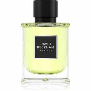 David Beckham Instinct parfémovaná voda pro muže 75 ml obraz