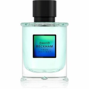 David Beckham True Instinct parfémovaná voda pro muže 75 ml obraz