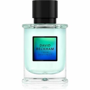 David Beckham True Instinct parfémovaná voda pro muže 50 ml obraz
