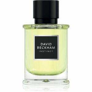 David Beckham Instinct parfémovaná voda pro muže 50 ml obraz