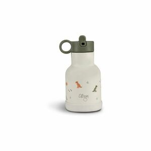 Citron Water Bottle 250 ml (Stainless Steel) nerezová láhev na vodu Dino 250 ml obraz
