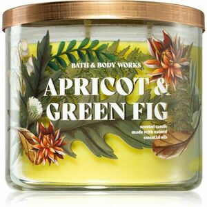 Bath & Body Works Apricot & Green Fig vonná svíčka 411 g obraz