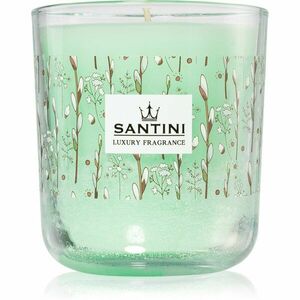 SANTINI Cosmetic Hello Spring vonná svíčka 200 g obraz