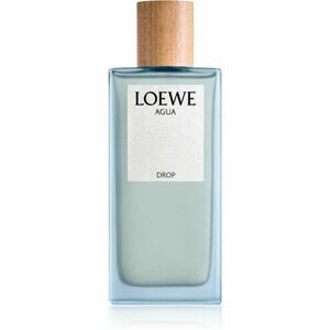 Loewe Agua Drop parfémovaná voda pro ženy 100 ml obraz
