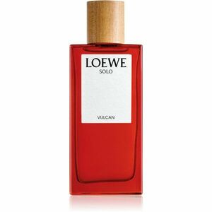 Loewe Solo Vulcan parfémovaná voda pro muže 100 ml obraz