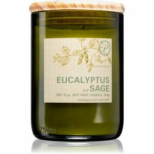 Paddywax Eco Green Eucalyptus & Sage vonná svíčka 226 g obraz