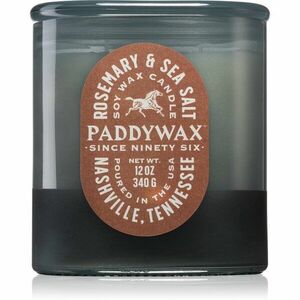 Paddywax Vista Rosemary & Sea Salt vonná svíčka 340 g obraz