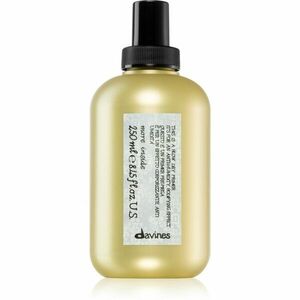 Davines More Inside Blow Dry Primer ochranný sprej na vlasy 250 ml obraz