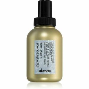 Davines More Inside Blow Dry Primer ochranný sprej na vlasy 100 ml obraz