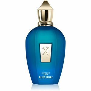 Xerjoff Blue Hope parfém unisex 100 ml obraz