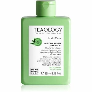 Teaology Hair Matcha Repair Shampoo šampon pro posílení vlasů 250 ml obraz