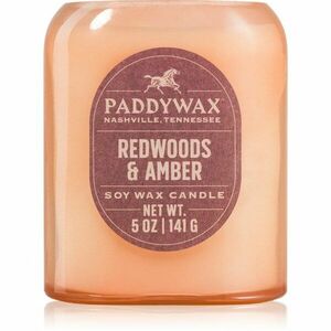 Paddywax Vista Redwoods & Amber vonná svíčka 142 g obraz