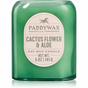Paddywax Vista Cactus Flower & Aloe vonná svíčka 142 g obraz