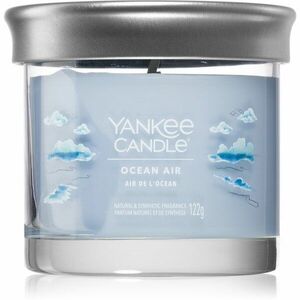 Yankee Candle Ocean Air vonná svíčka 122 g obraz