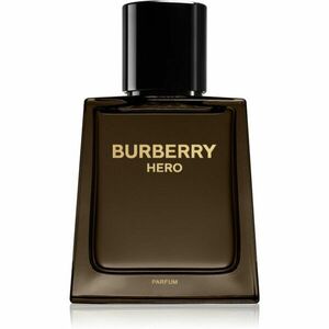 Burberry Hero parfém pro muže 50 ml obraz
