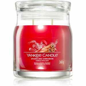 Yankee Candle Sparkling Cinnamon vonná svíčka 368 g obraz