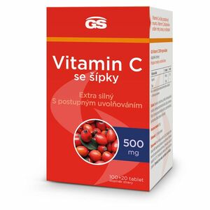 GS Vitamin C 500 mg se šípky 100 + 20 tablet obraz