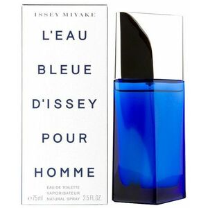 Issey Miyake L´Eau Bleue D´Issey Pour Homme EdT 75 ml obraz
