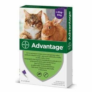 Advantage Malé Kočky 80 mg + králíci Spot-on 4 x 0.8 ml obraz