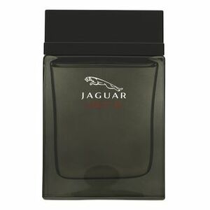 Jaguar Vision III toaletní voda pro muže 100 ml obraz