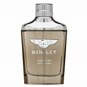 Bentley Infinite Intense parfémovaná voda pro muže 100 ml obraz