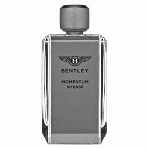 Bentley Momentum Intense parfémovaná voda pro muže 100 ml obraz