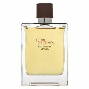 Hermes Terre D'Hermes Eau Intense Vetiver parfémovaná voda pro muže 200 ml obraz