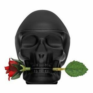 Christian Audigier Ed Hardy Skulls & Roses for Him toaletní voda pro muže 100 ml obraz