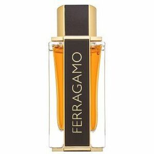Salvatore Ferragamo Spicy Leather Special Edition parfémovaná voda pro muže 100 ml obraz