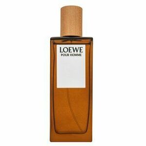 Loewe Pour Homme toaletní voda pro muže 50 ml obraz