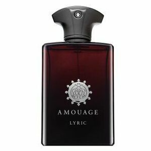 Amouage Lyric Man parfémovaná voda pro muže 100 ml obraz