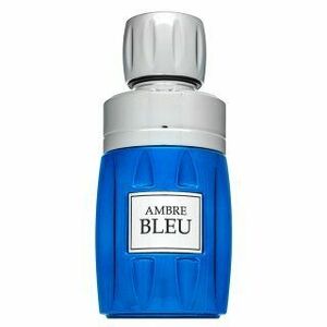 Rave Ambre Bleu parfémovaná voda pro muže 100 ml obraz