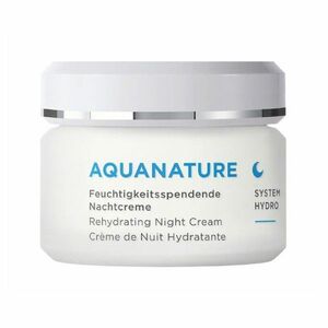 ANNEMARIE BÖRLIND Aqua Nature Hydratační noční krém 50 ml obraz