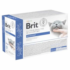BRIT Veterinary Diet Cat Pouch fillets in Gravy Recovery 12x85 g obraz