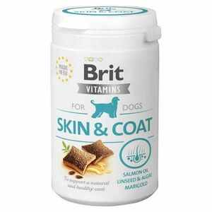 BRIT Vitamins Skin & Coat funkční pamlsky pro psy 150 g obraz