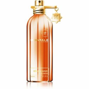 Montale Orange Aoud parfémovaná voda unisex 100 ml obraz