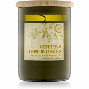 Paddywax Eco Green Verbena & Lemongrass vonná svíčka 226 g obraz