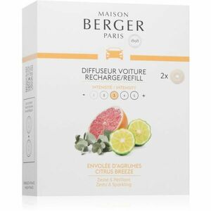 Maison Berger Paris Citrus Breeze vůně do auta náhradní náplň 2x17 g obraz