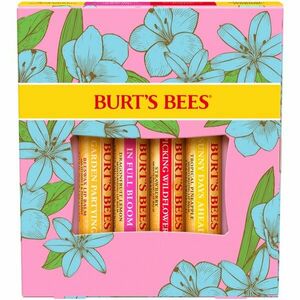 Burt’s Bees In Full Bloom sada na rty obraz