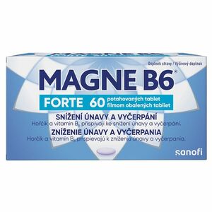 MAGNE B6 Forte 60 potahovaných tablet obraz