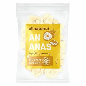 ALLNATURE Ananas sušený mrazem kousky 20 g obraz