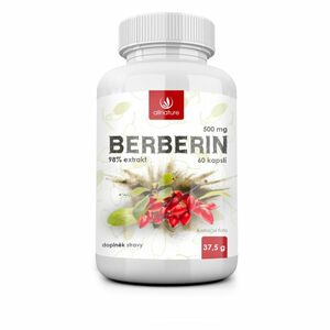 ALLNATURE Berberin Extrakt 98% 500 mg 60 kapslí obraz