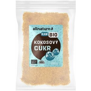 Allnature Kokosový cukr RAW/BIO 250 g obraz