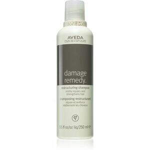 Aveda Damage Remedy™ Restructuring Shampoo obnovující šampon pro poškozené vlasy 250 ml obraz